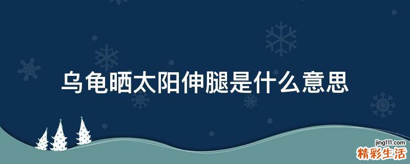 乌龟晒太阳伸腿是什么意思