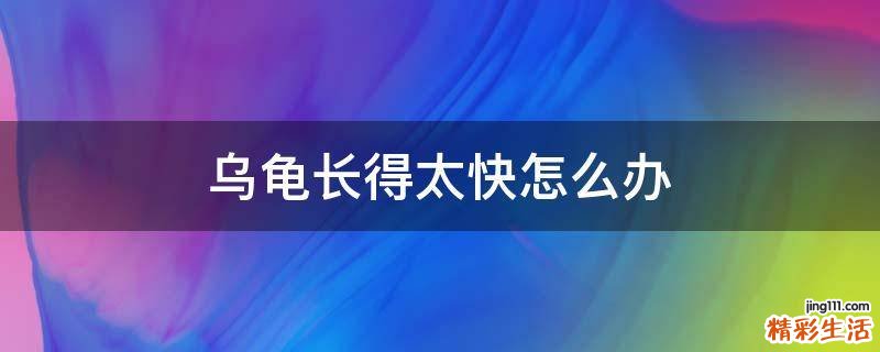 乌龟长得太快怎么办