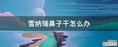 雪纳瑞鼻子干怎么办