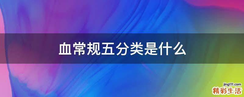 血常规五分类是什么