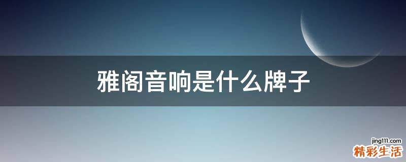 雅阁音响是什么牌子