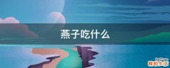燕子吃什么