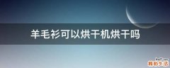 羊毛衫可以烘干机烘干吗
