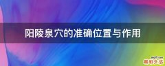 阳陵泉穴的准确位置与作用