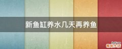 新鱼缸养水几天再养鱼