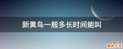 新黄鸟一般多长时间能叫