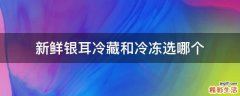 新鲜银耳冷藏和冷冻选哪个