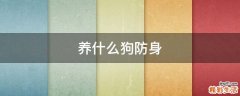 养什么狗防身