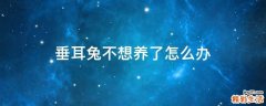 垂耳兔不想养了怎么办