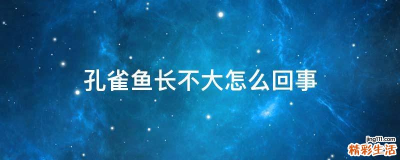 孔雀鱼长不大怎么回事