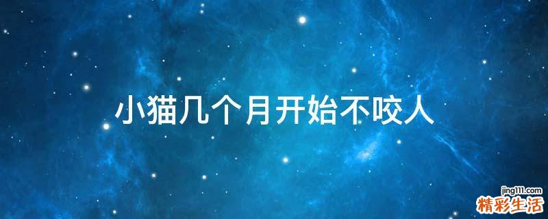 小猫几个月开始不咬人