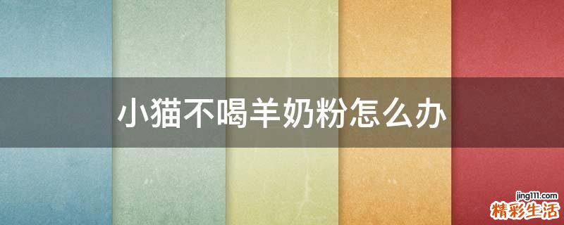 小猫不喝羊奶粉怎么办