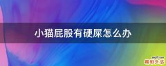小猫屁股有硬屎怎么办