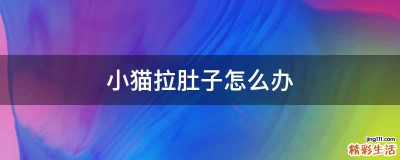 小猫拉肚子怎么办