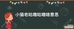 小猫老咕噜咕噜啥意思