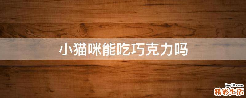 小猫咪能吃巧克力吗