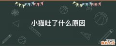 小猫吐了什么原因