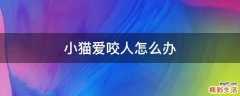 小猫爱咬人怎么办