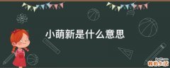 小萌新是什么意思