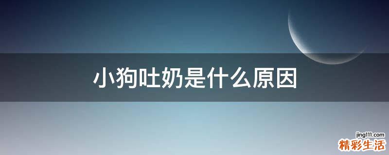 小狗吐奶是什么原因
