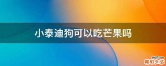 小泰迪狗可以吃芒果吗