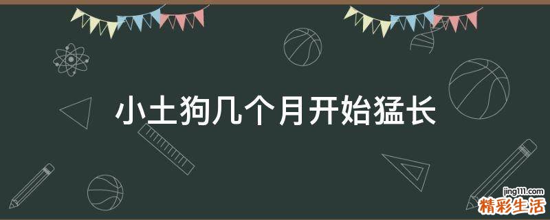 小土狗几个月开始猛长