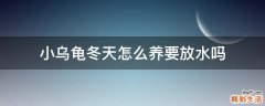 小乌龟冬天怎么养要放水吗