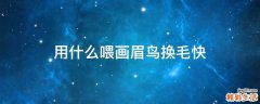 用什么喂画眉鸟换毛快