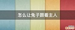 怎么让兔子跟着主人