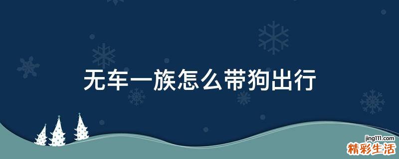 无车一族怎么带狗出行