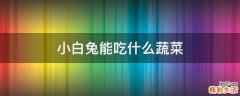 小白兔能吃什么蔬菜