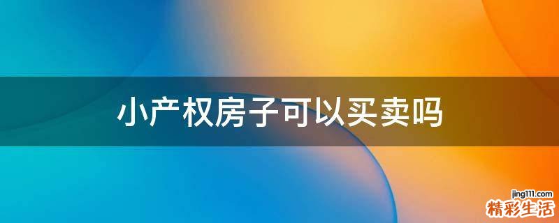 小产权房子可以买卖吗