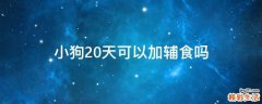 小狗20天可以加辅食吗