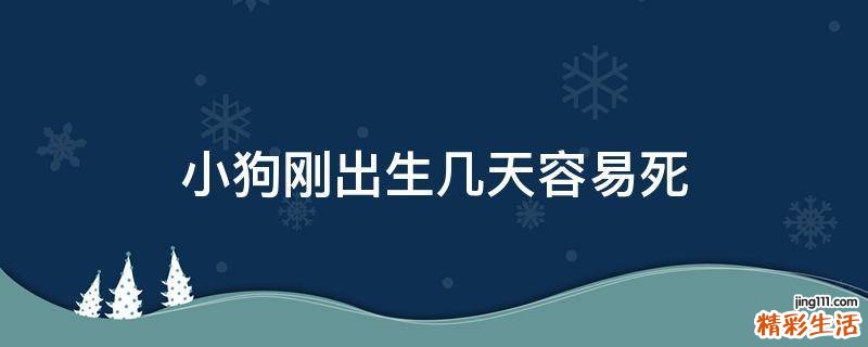 小狗刚出生几天容易死