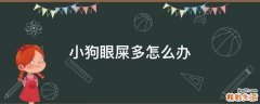 小狗眼屎多怎么办