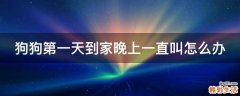 狗狗第一天到家晚上一直叫怎么办