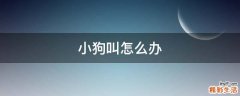小狗叫怎么办