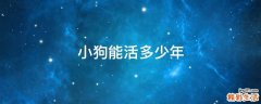 小狗能活多少年