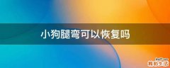 小狗腿弯可以恢复吗