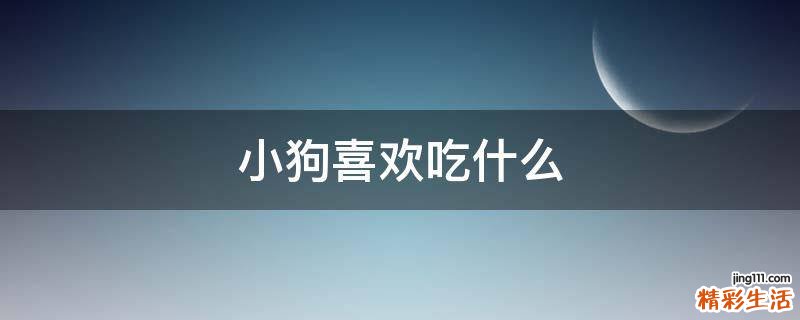 小狗喜欢吃什么