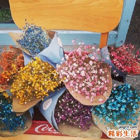 老人别可惜剩饭菜