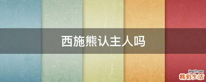 西施熊认主人吗