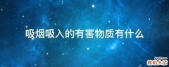 吸烟吸入的有害物质有什么