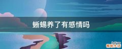 蜥蜴养了有感情吗