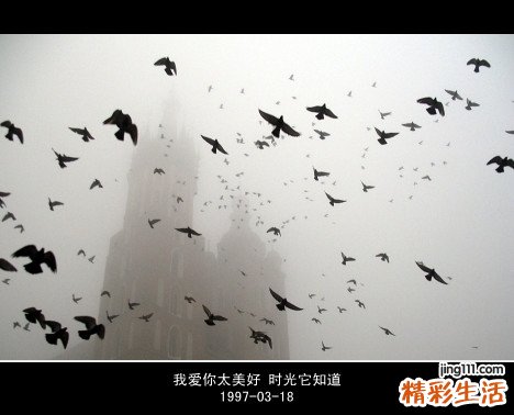 2 多囊卵巢