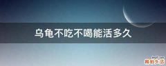 乌龟不吃不喝能活多久