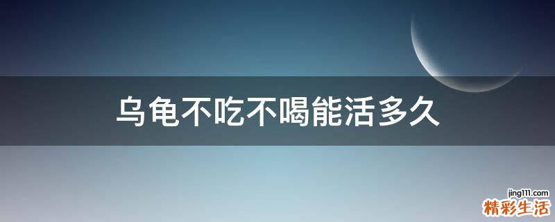 乌龟不吃不喝能活多久