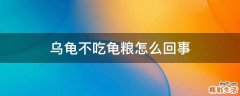 乌龟不吃龟粮怎么回事