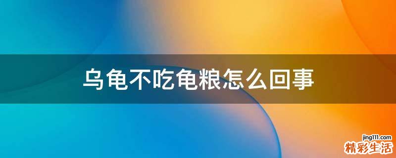 乌龟不吃龟粮怎么回事
