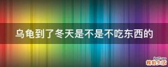 乌龟到了冬天是不是不吃东西的